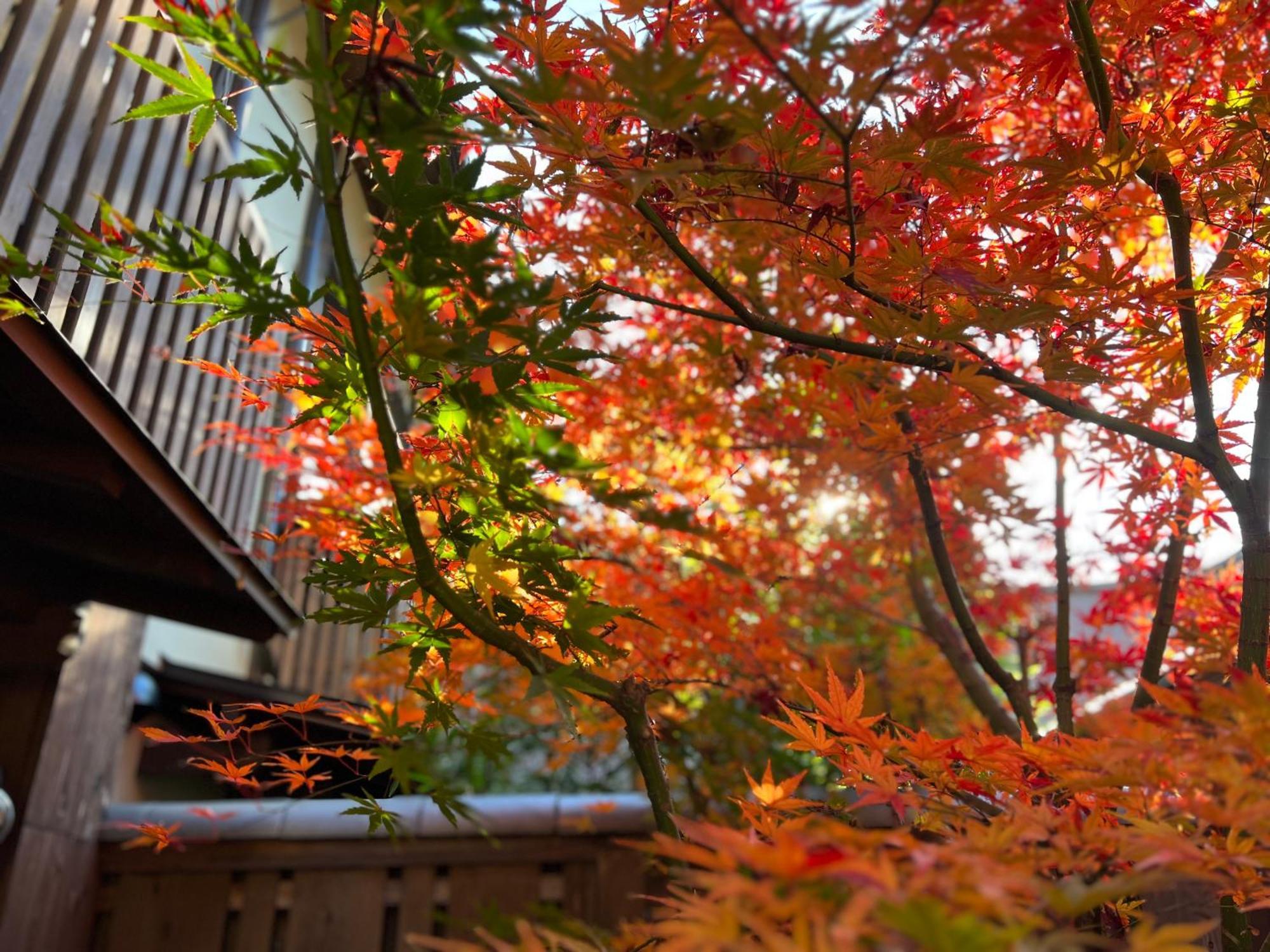 Imakumano Terrace - Dohachi An 道八庵, Kyoto